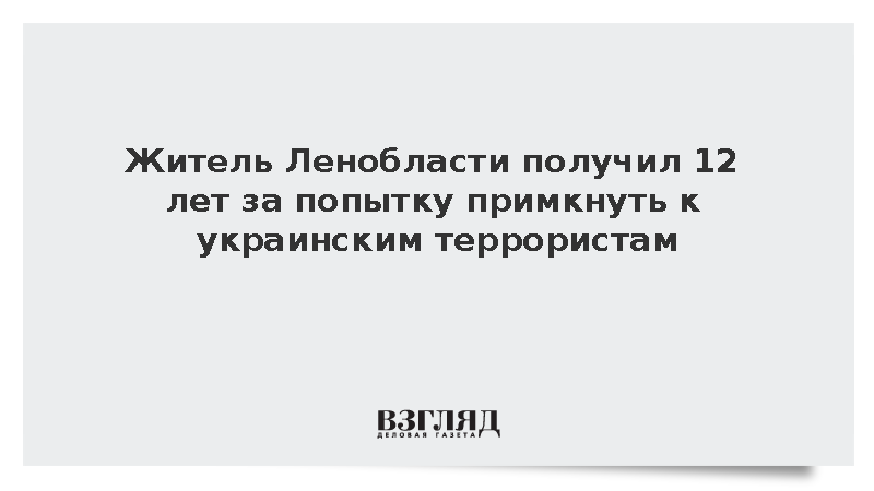 Житель Ленобласти получил 12 лет за попытку примкнуть к украинским террористам