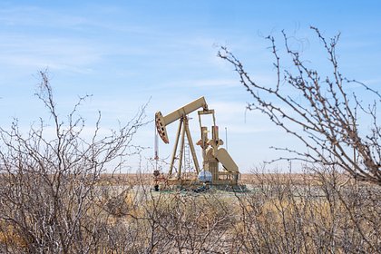 В МВФ напомнили об исчерпаемости стратегических запасов нефти и газа