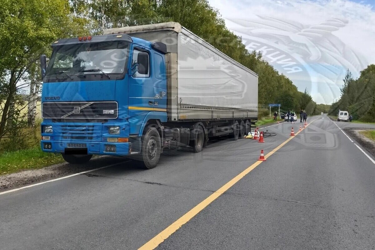 Грузовик насмерть сбил велосипедиста на трассе Кинешма – Пурех