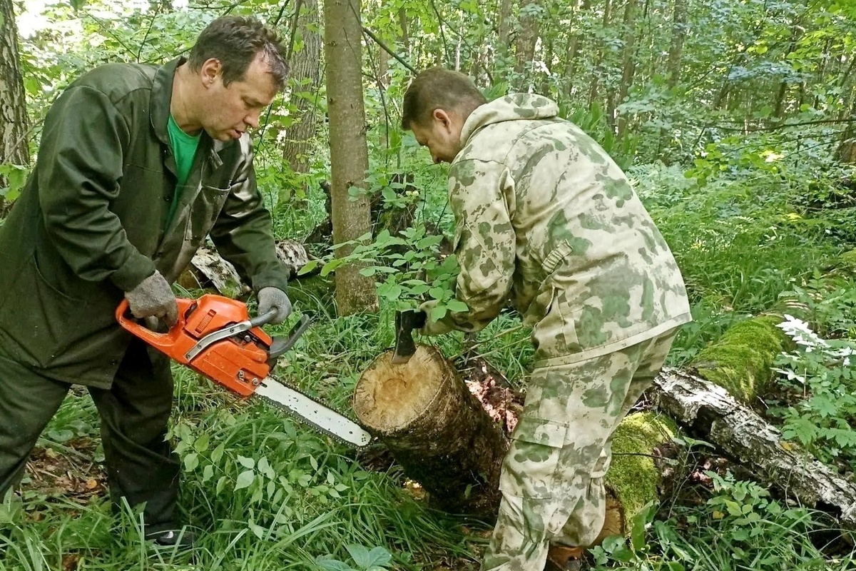 В Серпухове расчищают леса