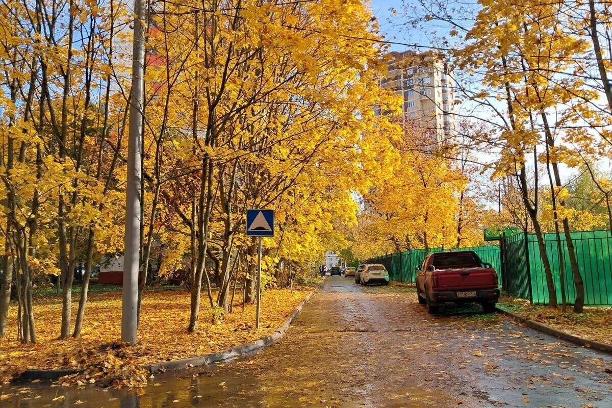 Бабье лето в Москве скоро оборвется сильными ливнями