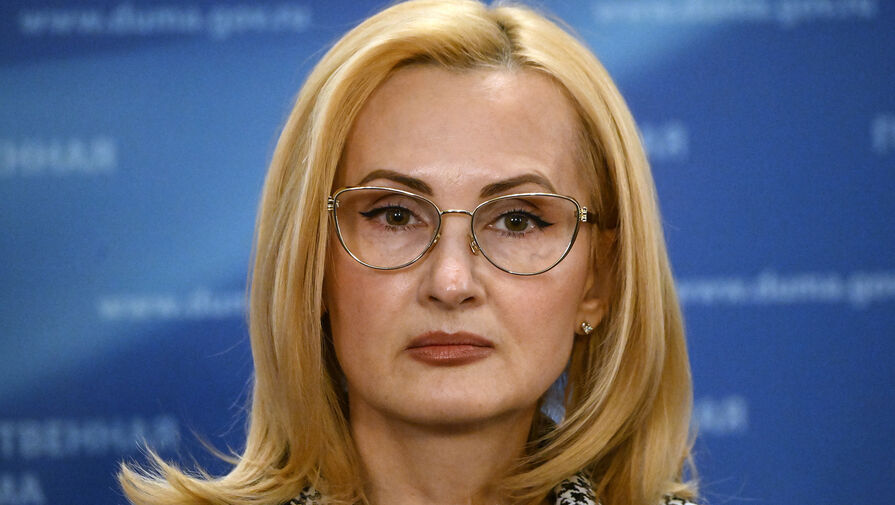 Яровая назвала исключение нелегальной миграции целью "Единой России"