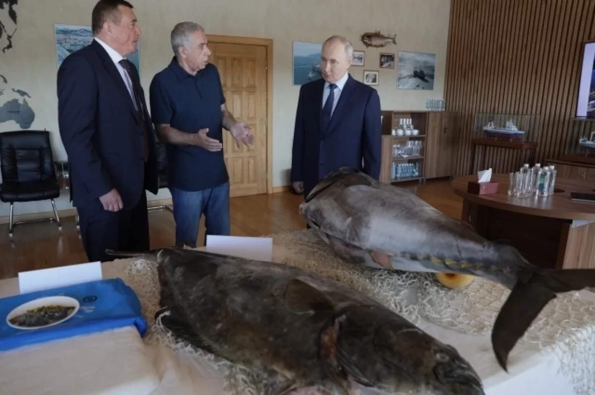 В Совфеде дали ответ Японии из-за визита Путина на Курилы
