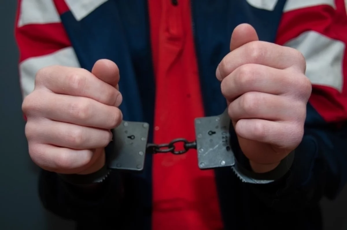 Жителя Новгородской области приговорили к 12 годам за травлю школьницы