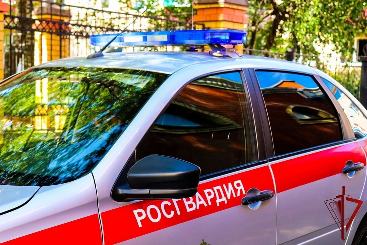 За август сотрудники ОВО в Марий Эл задержали 45 нарушителей