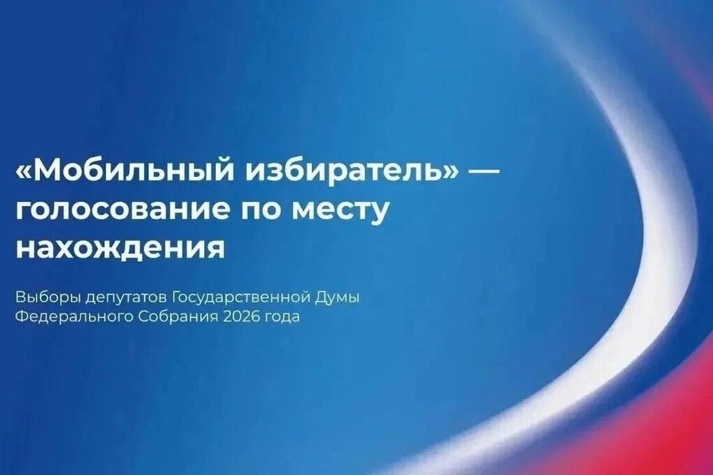 «Мобильный избиратель»: Как жителям Запорожской области проголосовать на выборах по месту нахождения