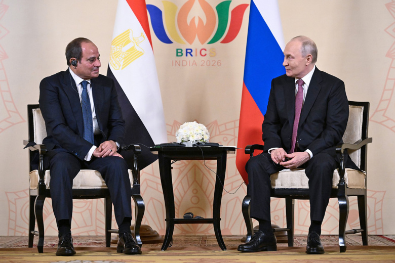 Путин раскрыл процесс реализации крупных проектов России и Египта