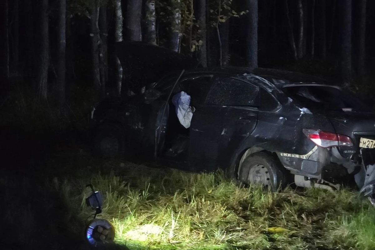 13 человек погибли в ДТП с лесовозом в Архангельской области