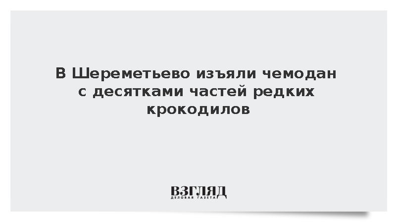 ФТС сообщила о задержании пассажира с 64 частями редких крокодилов