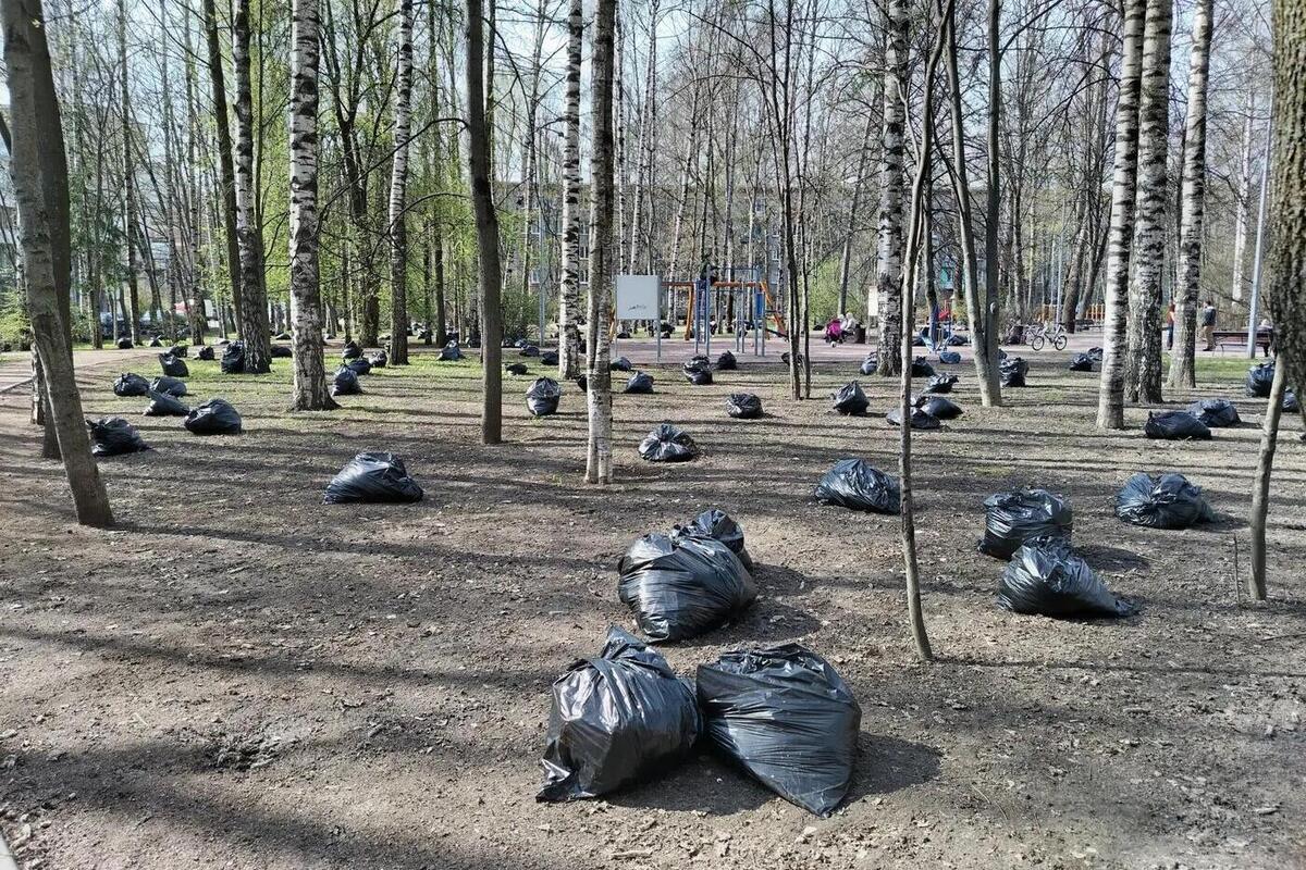 Новгородские студотряды станут ударниками труда