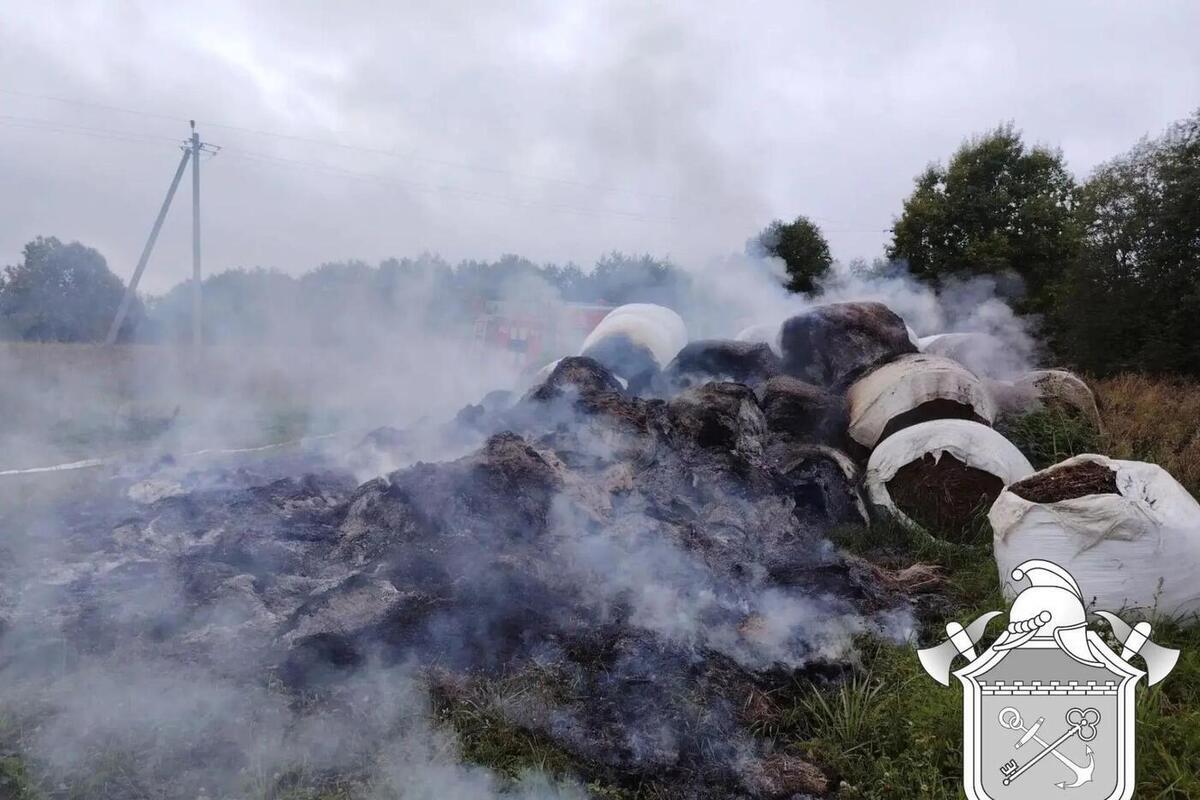 В Гатчинском районе на поле сгорело заготовленное сено