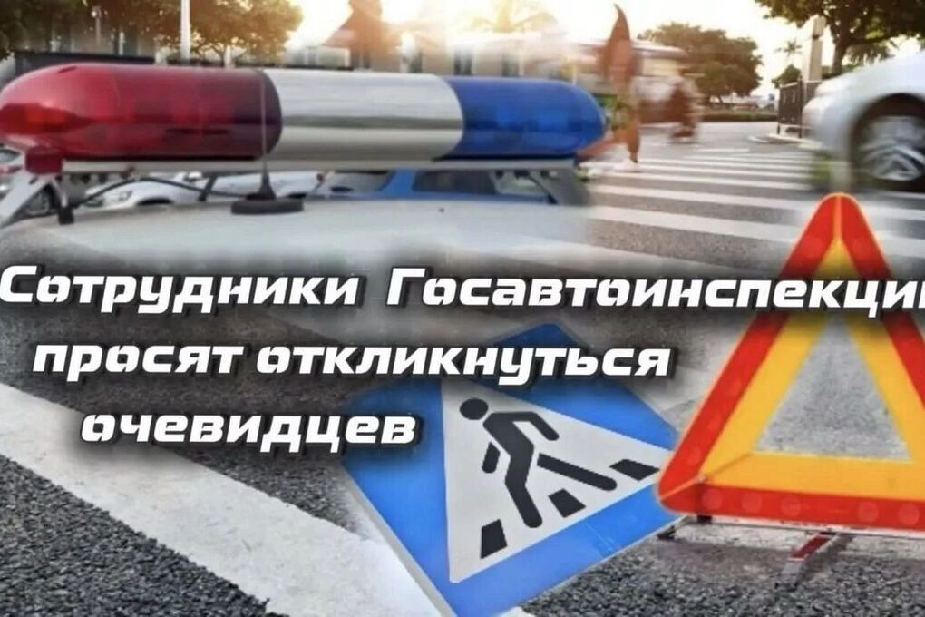 В Запорожской области ищут сбившего ребёнка водителя