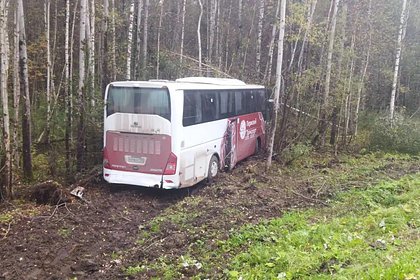 В российском регионе в ДТП пострадали 20 человек