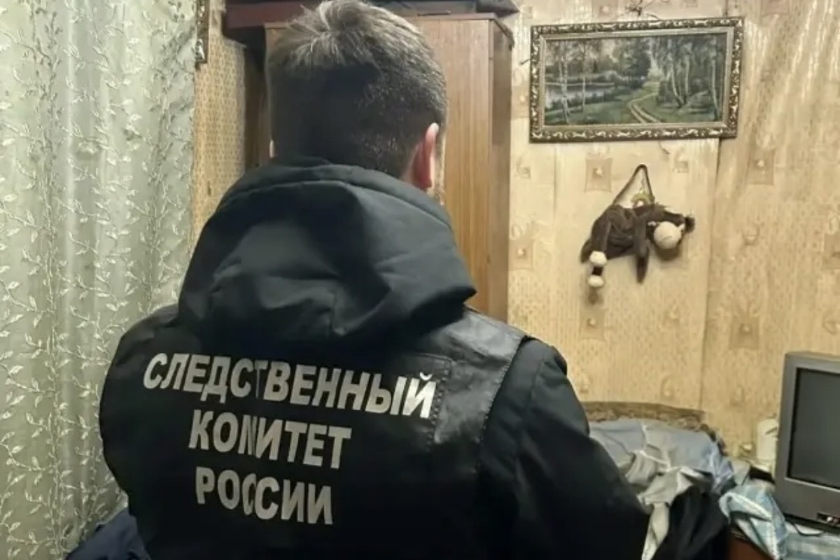 Жительницу Тамбова посадили за смертельный ударили в живот сожителю