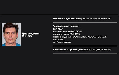 МВД объявило в розыск блогера Пуркина, известного как Дед Архимед