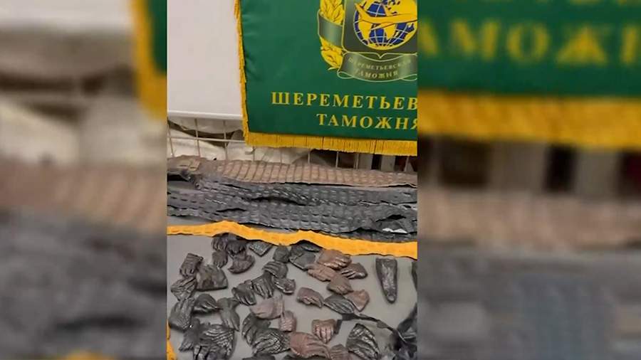 В багаже прилетевшего из КНР россиянина нашли 64 фрагмента крокодилов