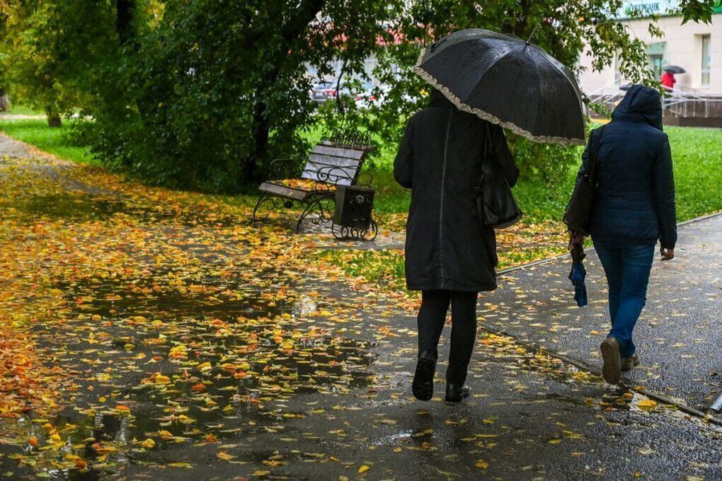 Челябинскую область ждут дожди и сильный ветер в воскресенье