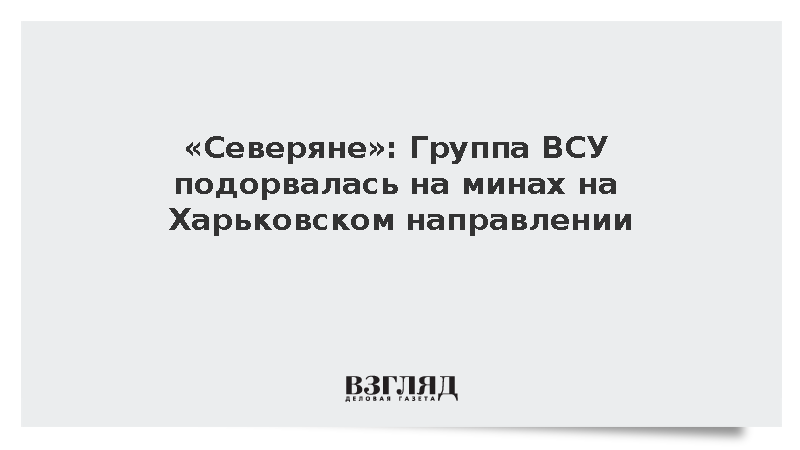 ВС России: Группа ВСУ подорвалась на минах на Харьковском направлении