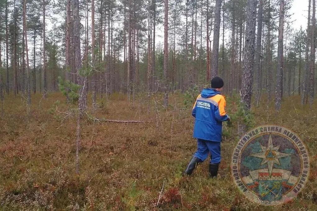 Спасатели эвакуировали из леса в Тихвинском районе тело погибшего грибника