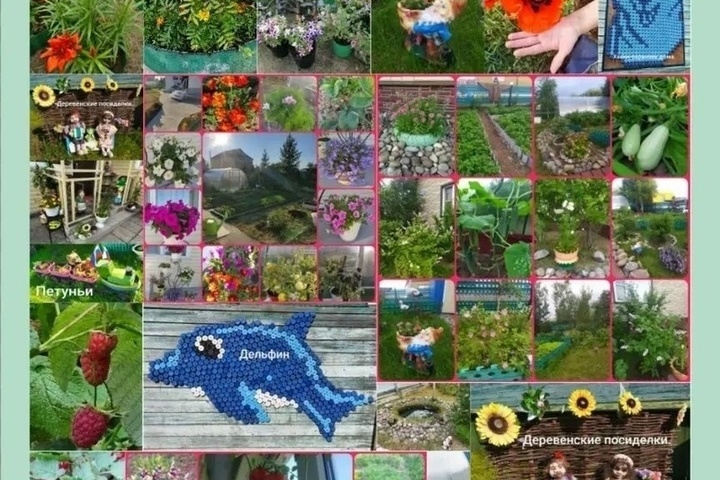 В 2026 году в конкурсе «Чистое подворье» участвуют 20 клубов и 226 подворий