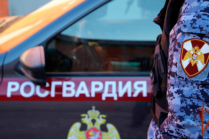 Нарушитель больничного покоя в Коле додебоширился до задержания