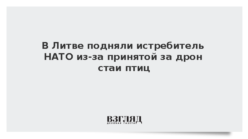 В Литве подняли истребитель НАТО из-за принятой за дрон стаи птиц