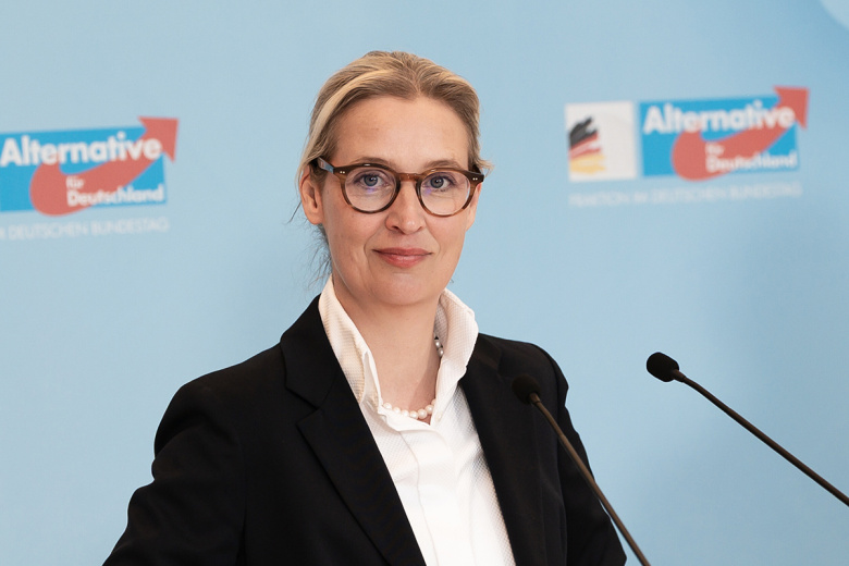 «Альтернатива для Германии» выступила с внезапным предложением по Украине