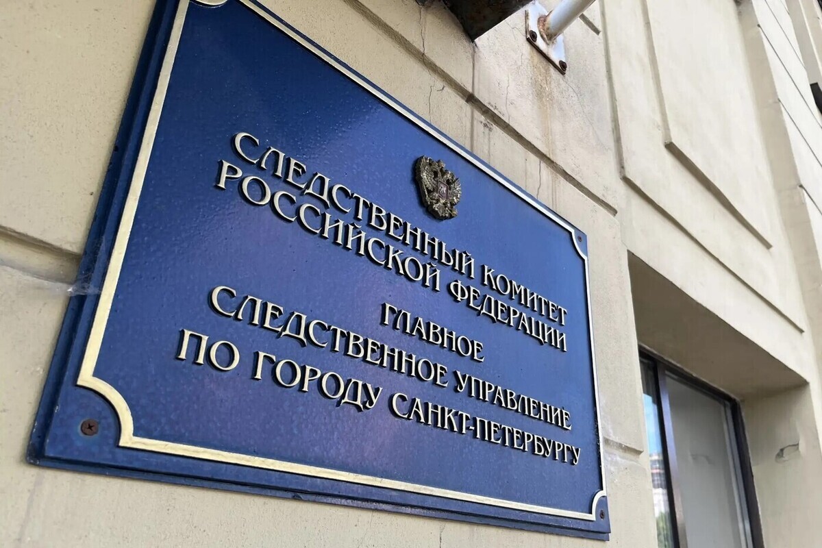 Бастрыкин взялся за дело об избиении подростка продавщицей на Ленсовета