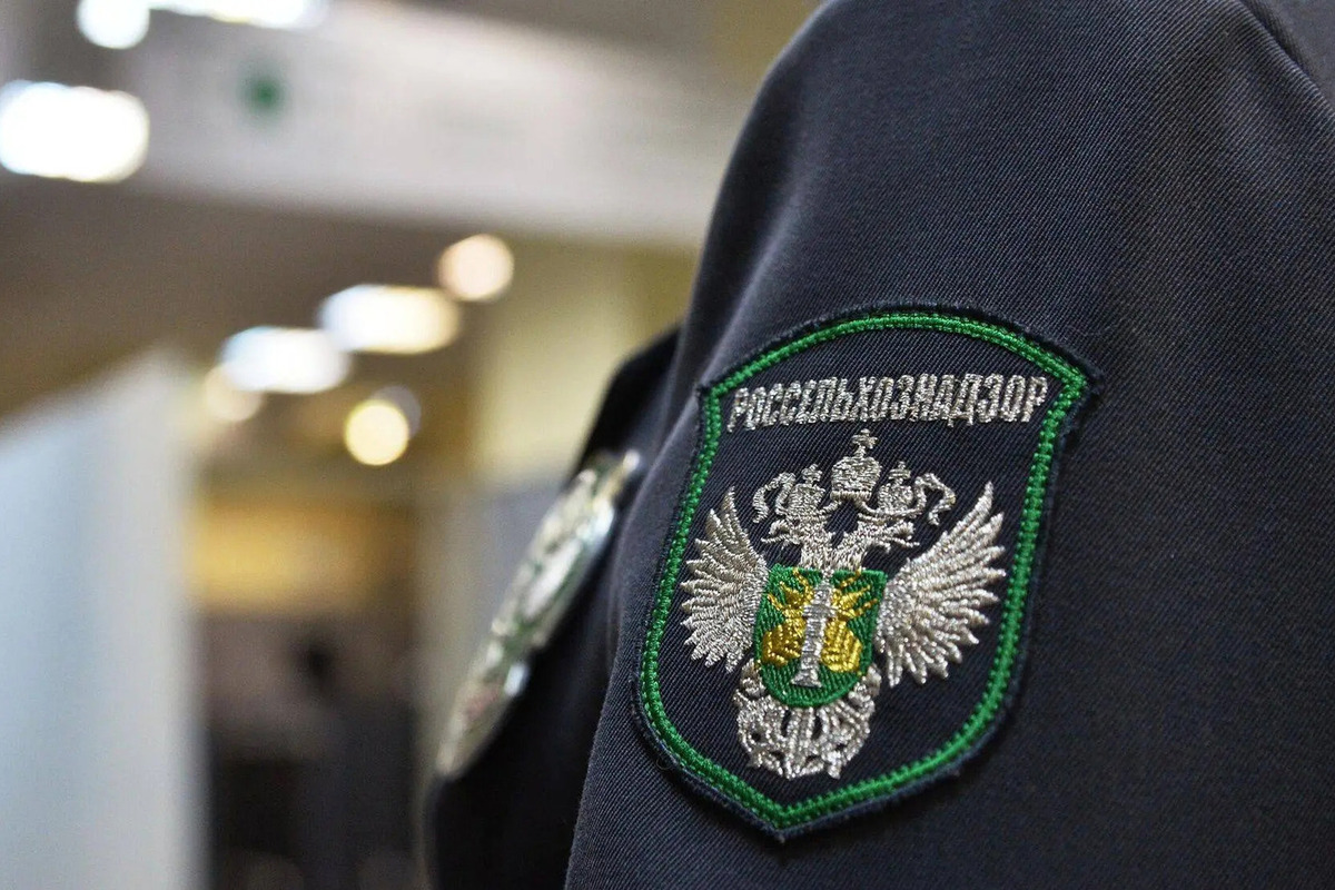 В Полесском районе заявили 27 тысяч тонн пшеницы до сбора урожая