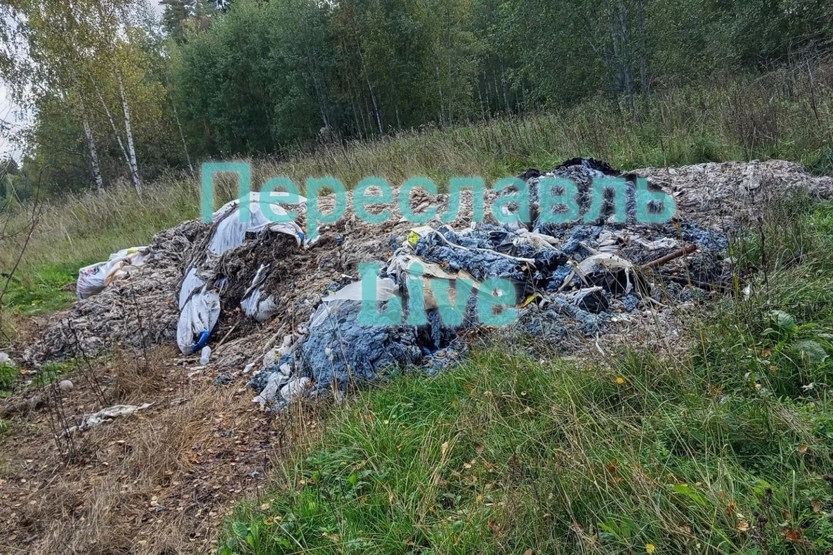 Под Переславлем снова нашли горы тухлой курятины