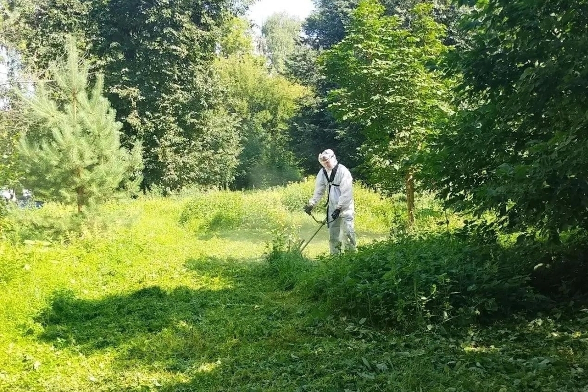 ДУКи пяти районов Нижнего продолжают работы по благоустройству