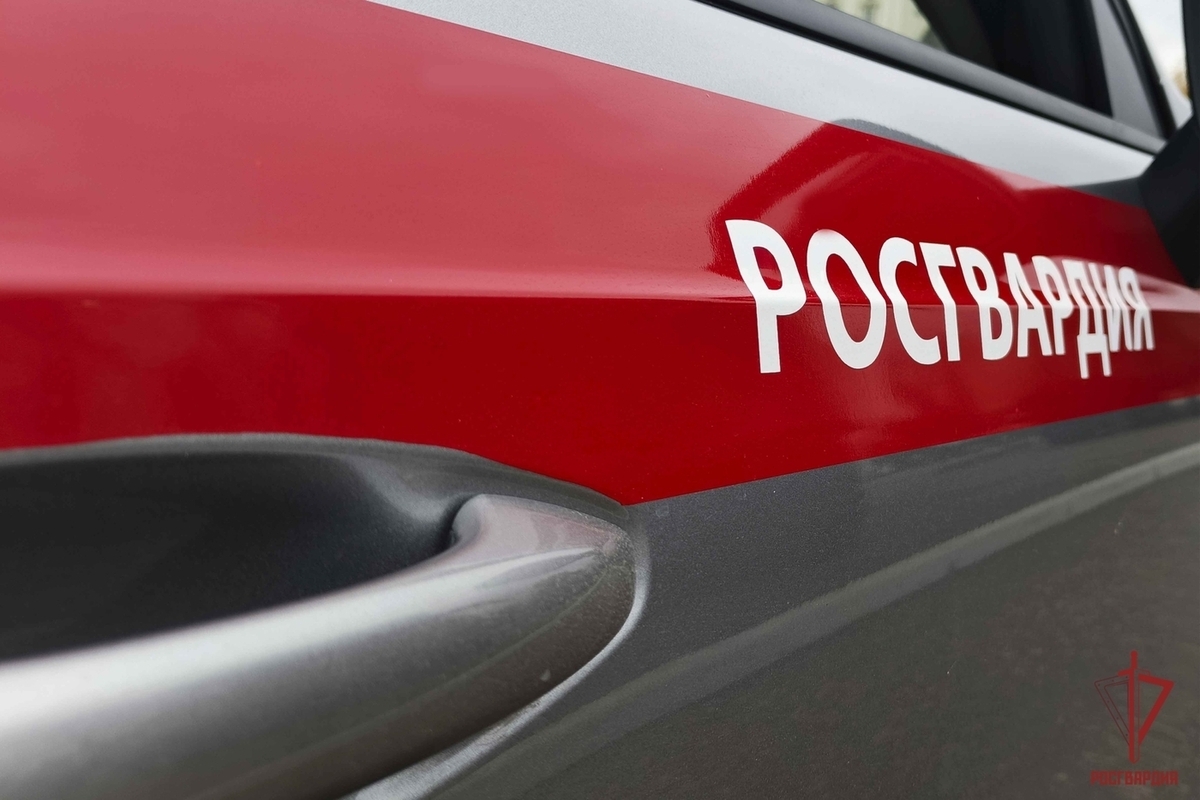 Росгвардия отчиталась, как прошел матч «Арсенал» - «СКА-Хабаровск» в Туле