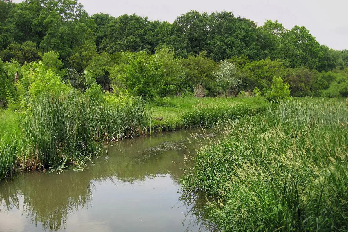 В ДНР определены границы водоохранных зон реки Кальмиус