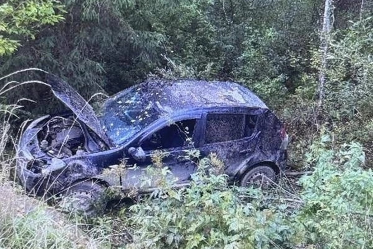 Водитель «Рено Сандеро» погиб в Плюсском округе