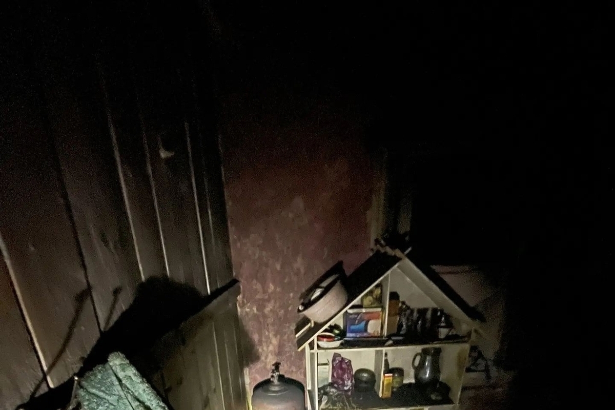 На пожарах в Нижегородской области за неделю погибли пять человек