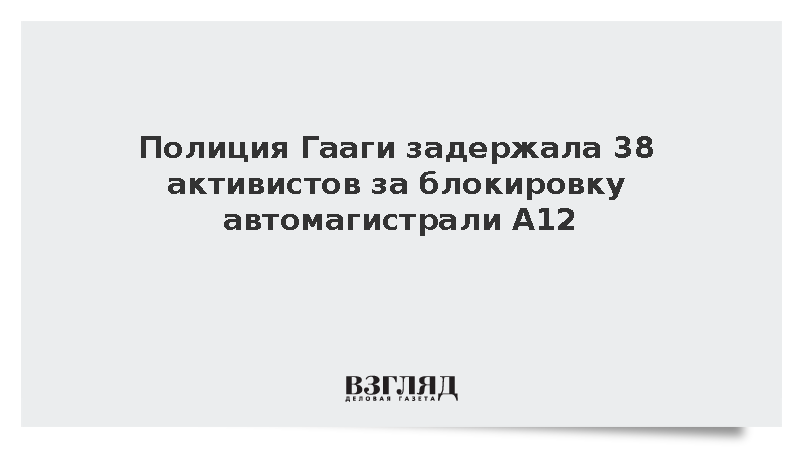 Полиция Гааги задержала 38 экоактивистов за блокировку автомагистрали A12