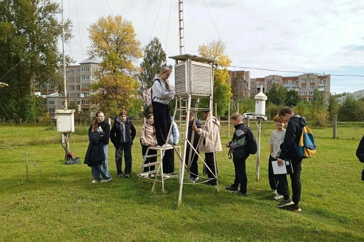 Боровичские школьники взялись за исследование природных объектов
