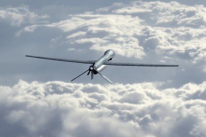 Белоруссия получила антидроновую «Стену»