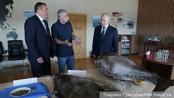 Японский реваншизм получил пощечину от Путина на Курилах