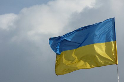 На Украине уволили исполняющую обязанности главы налоговой службы