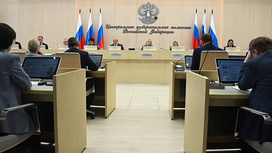 Памфилова предупредила о схеме мошенников с «голосованием» через мессенджеры