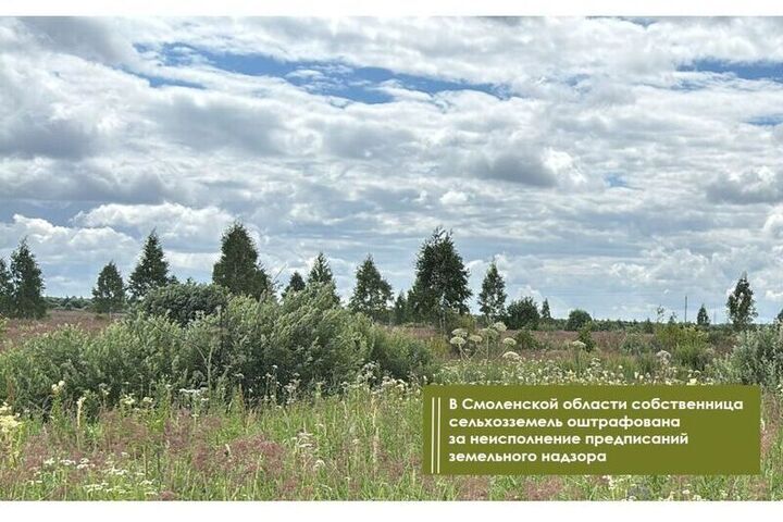 Собственницу земли в Гагаринском районе оштрафовали за хмызник