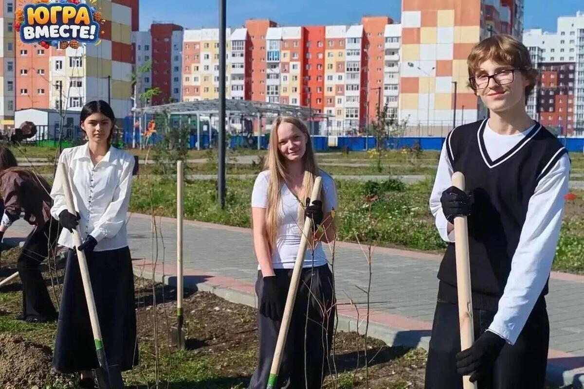 В Нижневартовске школьники посадили 30 кустов рябины возле школы №44