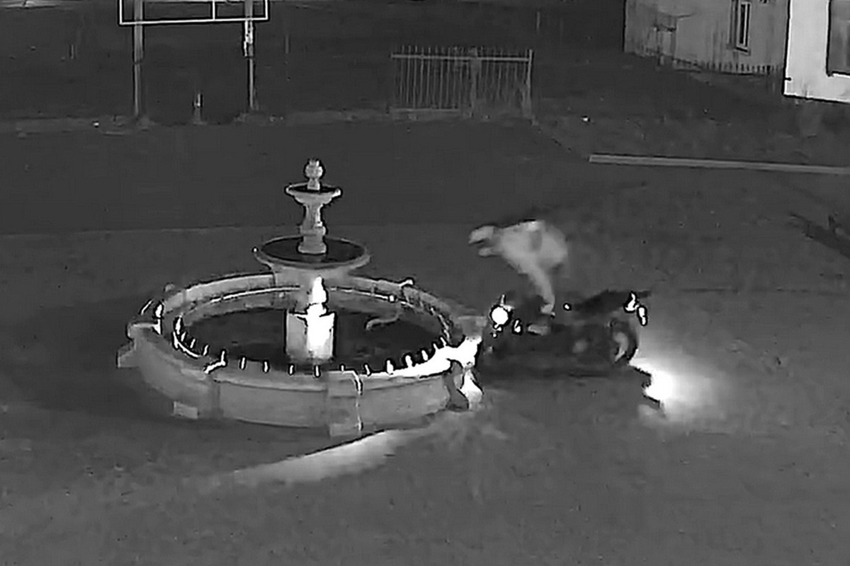 В Турках мотоциклист упал в фонтан на центральной площади города