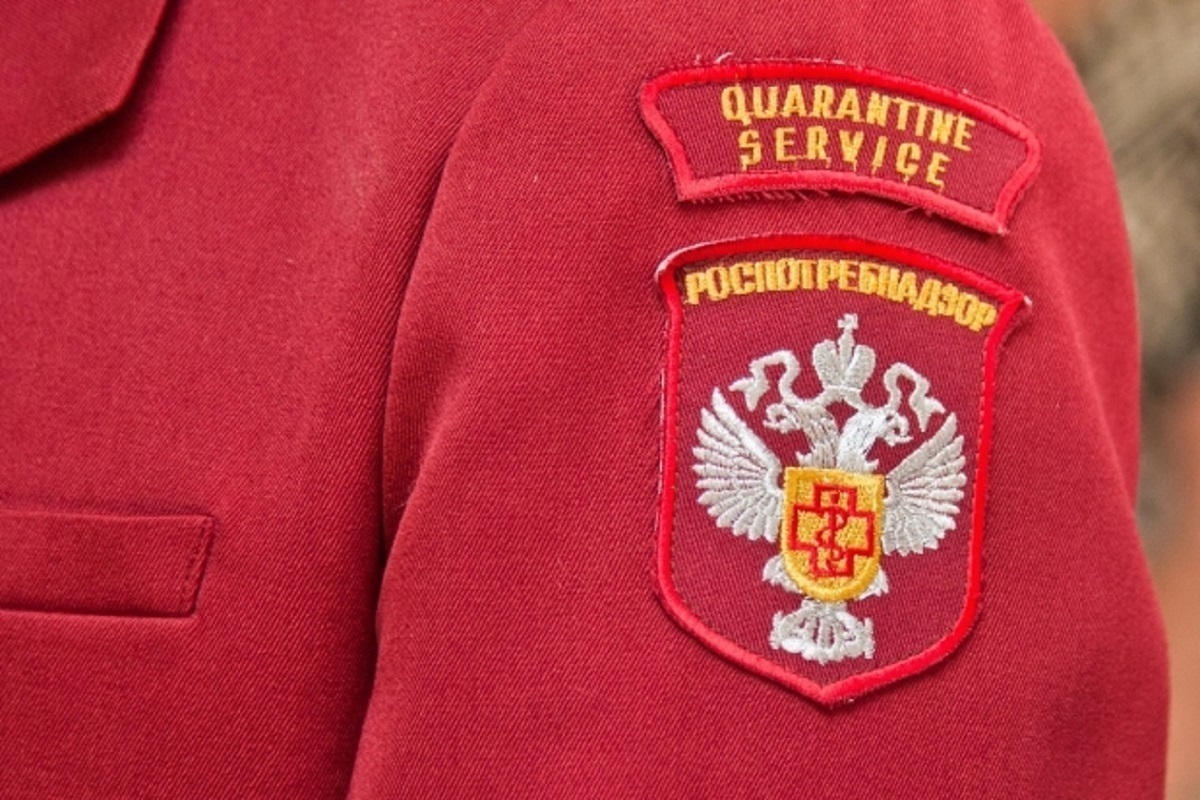 В Волгоградской области проверили 11 тысяч единиц табачной продукции и вейпов