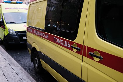 Россиянин не выжил после встречи с лосем на дороге