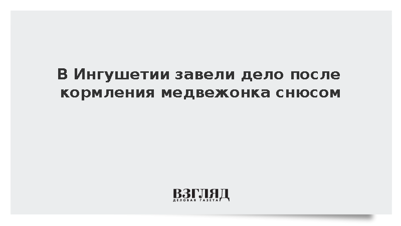 В Ингушетии завели дело после кормления медвежонка снюсом