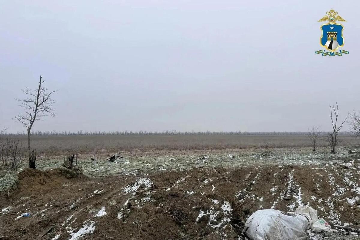 «Мёртвые души» в благоустройстве и скот в траншеях: в Кировском округе завершено дело экс-главы терротдела
