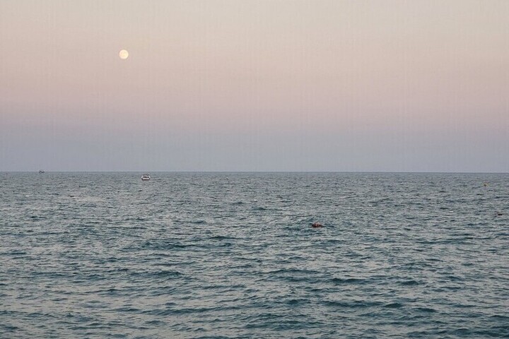 В Азовском море нашли новые виды рыб и организмов