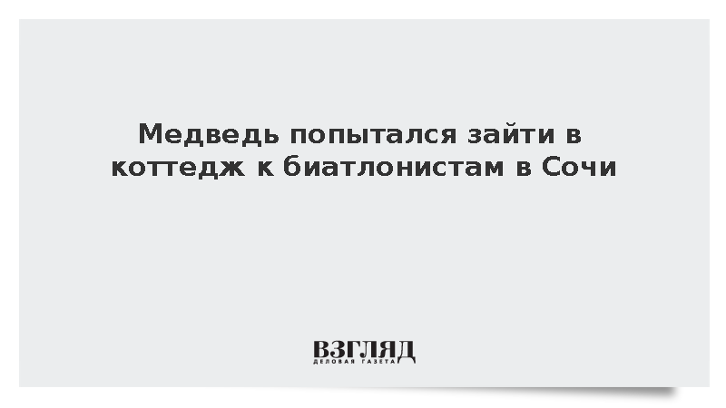 Медведь пытался войти в коттедж группы Михаила Шашилова на сборах в Сочи